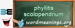WordMeaning blackboard for phyllitis scolopendrium